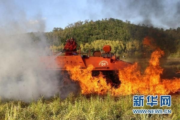 【動(dòng)畫】森林草原防火“十不準(zhǔn)”“五不燒”！這些安全知識(shí)要牢記
